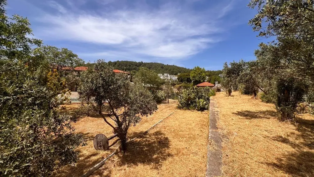 Real estate in Ovacik